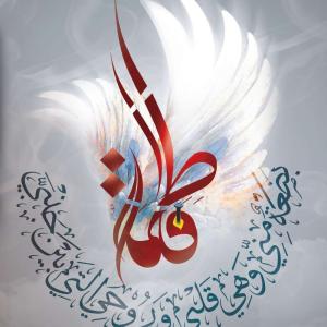 ولادات المعصومين (عليهم السلام)